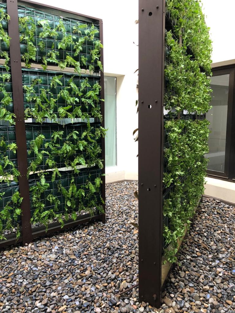 Por que instalar un jardin vertical en nuestra casa o negocio? – Paisajismo  y Jardines Verticales